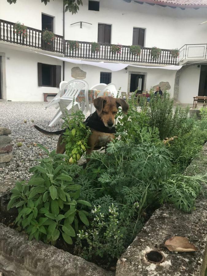 Fragole E Menta Hotel Attimis Eksteriør billede